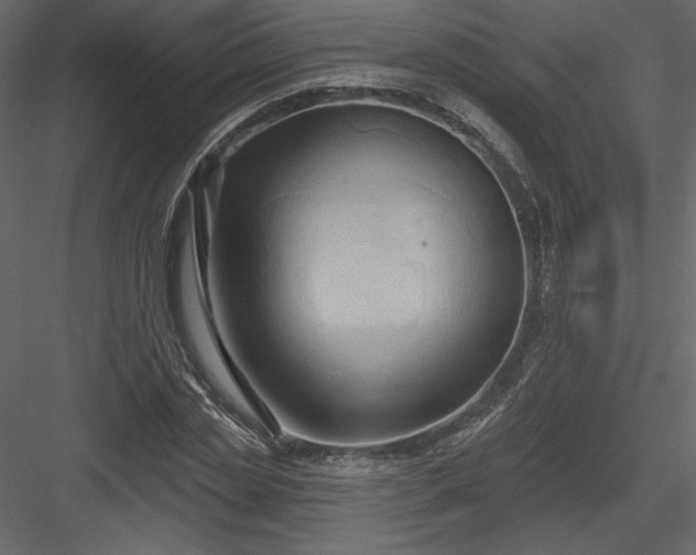 X0000084020829200702232229