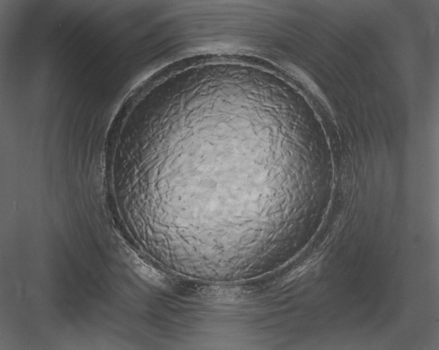 X0000084020831200702232229
