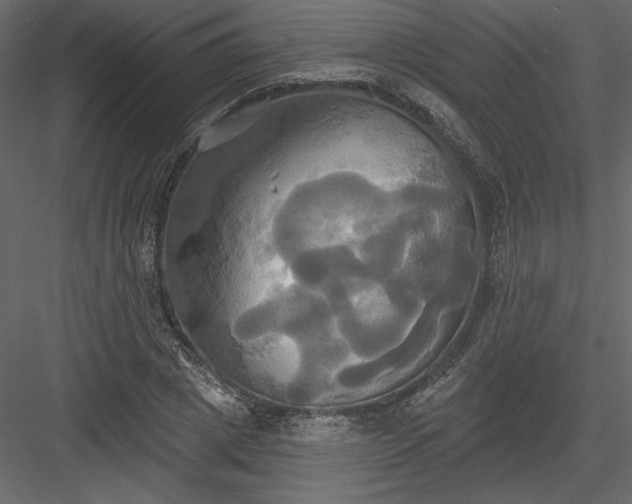 X0000084020833200702232229