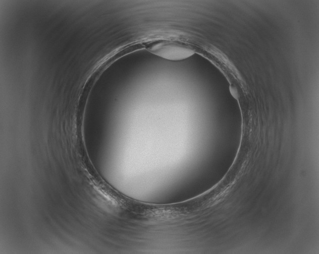 X0000084020834200702232229