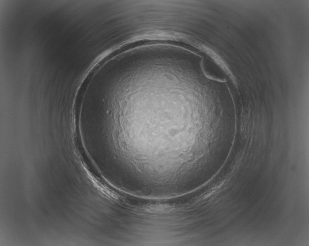 X0000084020837200702232229