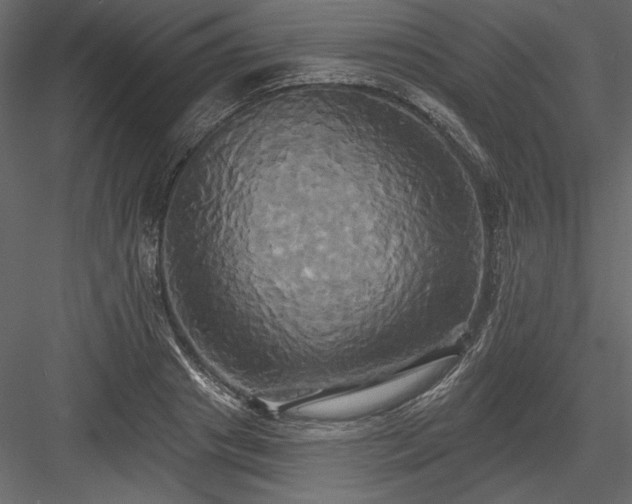 X0000084020841200702232229