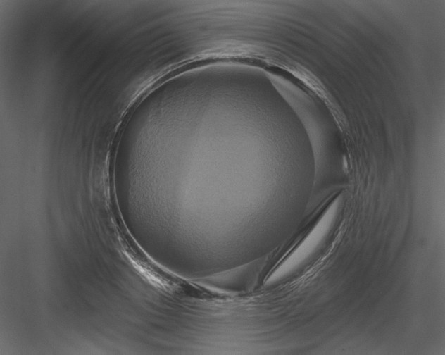 X0000084020842200702232229