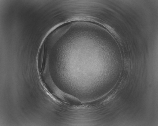 X0000084020846200702232230