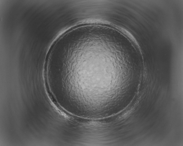 X0000084020847200702232230