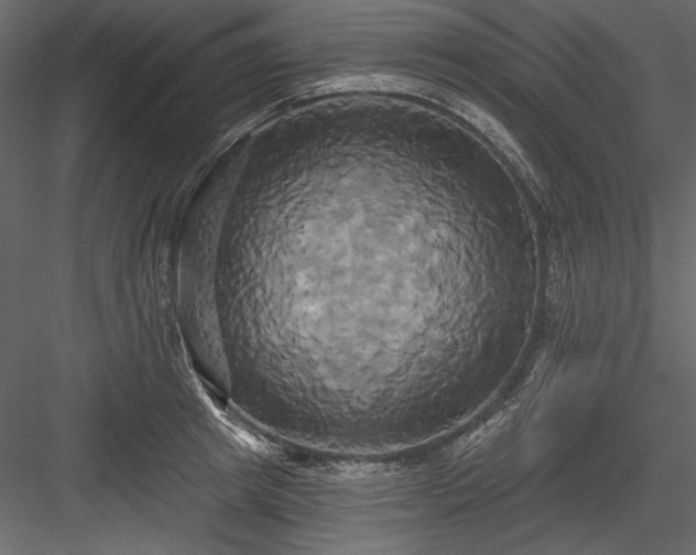 X0000084020849200702232230