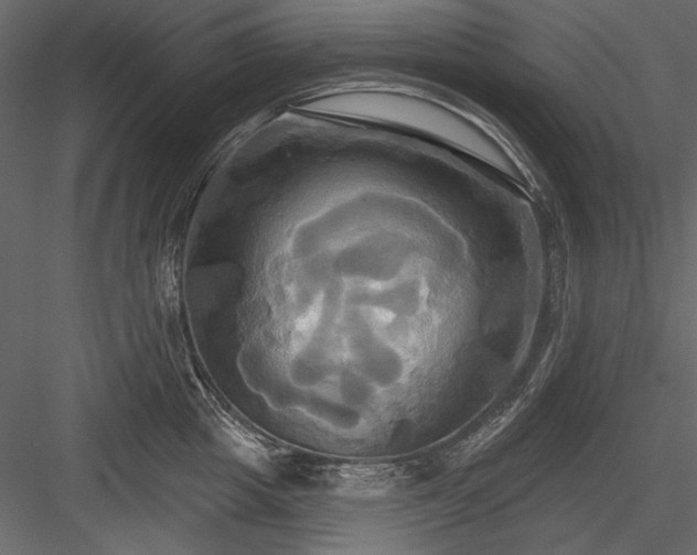 X0000084020857200702232230
