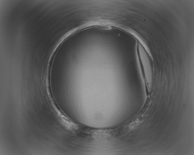 X0000084020861200702232230