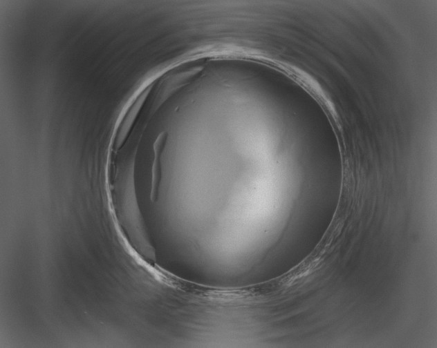 X0000084020863200702232230