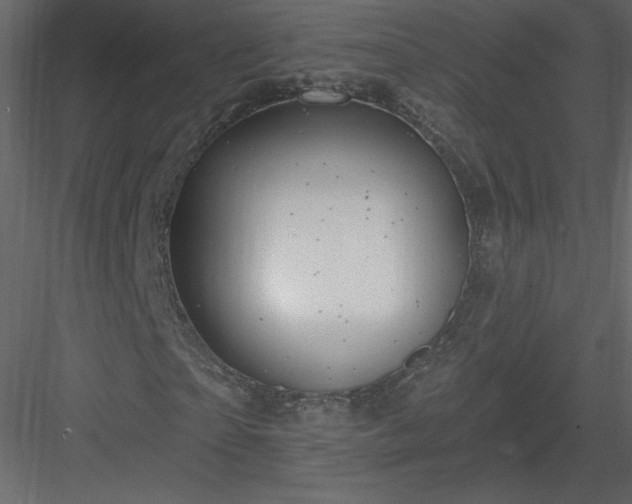 X0000084020865200702232229