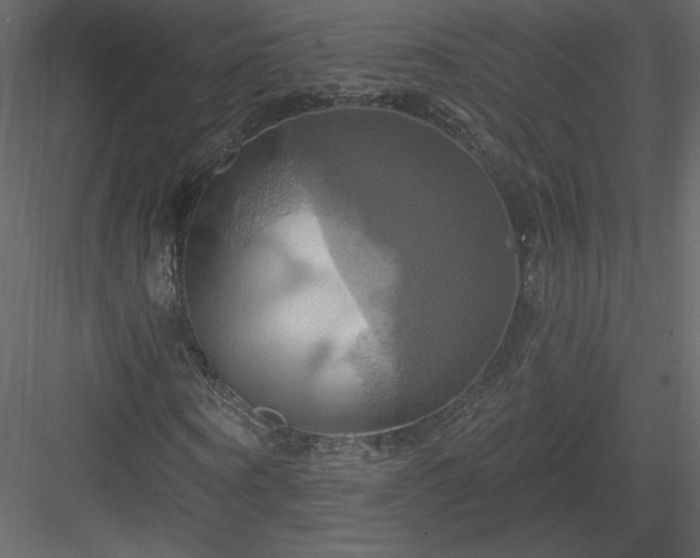 X0000084020866200702232229