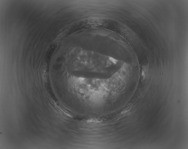 X0000084020867200702232229