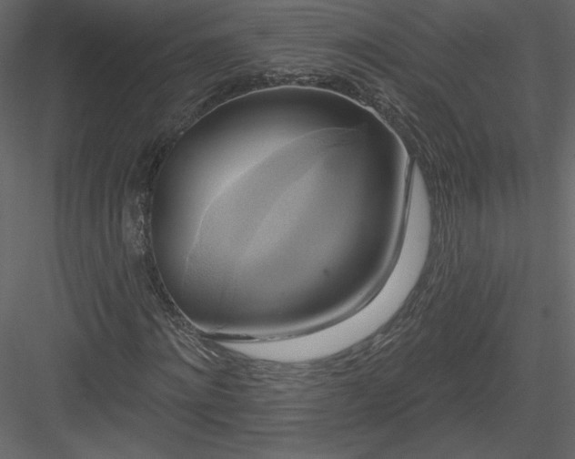 X0000084020868200702232229