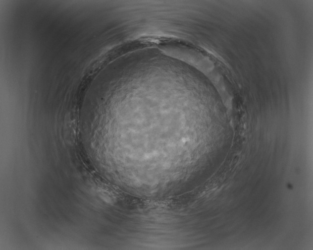 X0000084020870200702232229