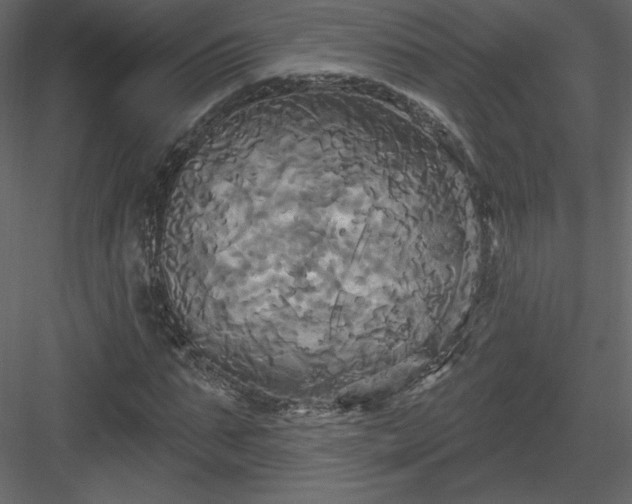 X0000084020871200702232229