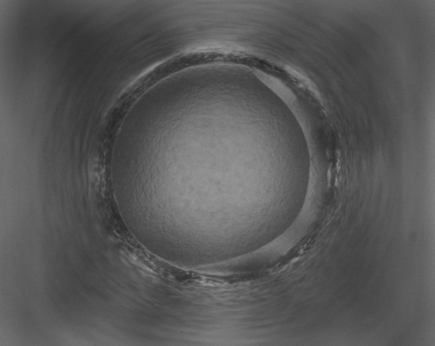 X0000084020872200702232229