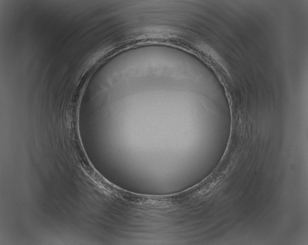 X0000084020874200702232229