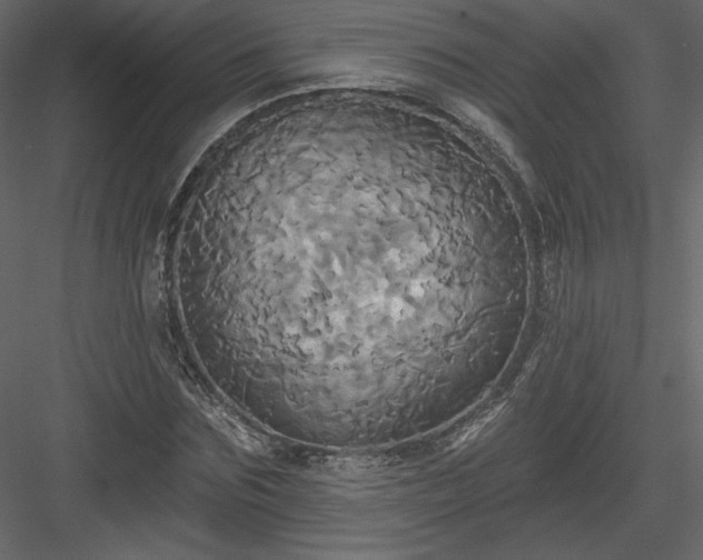 X0000084020875200702232229