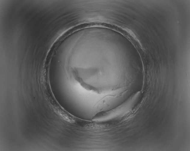 X0000084020879200702232229