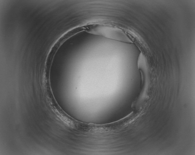 X0000084020880200702232229