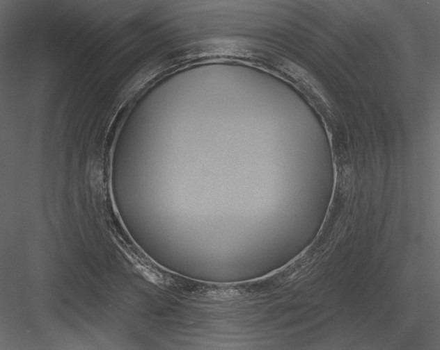 X0000084020882200702232229