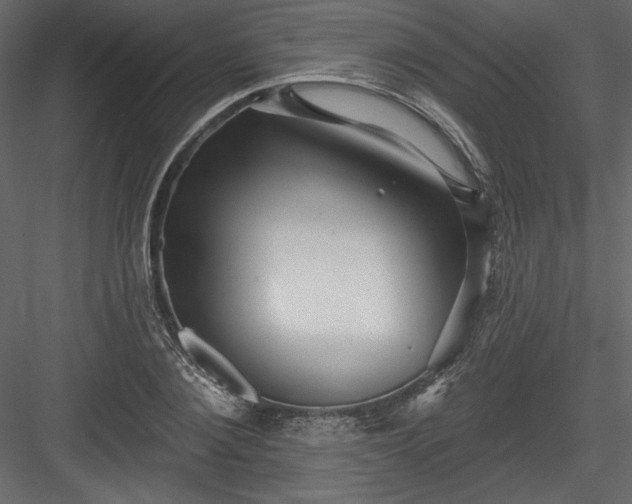 X0000084020884200702232229