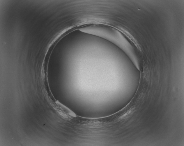 X0000084020885200702232229