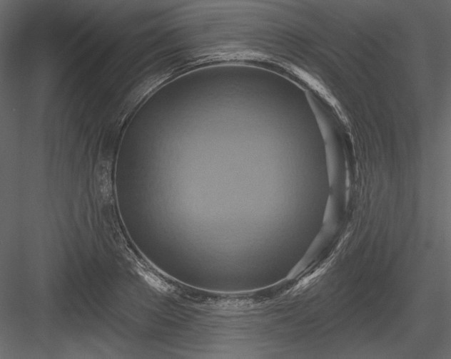 X0000084020889200702232229