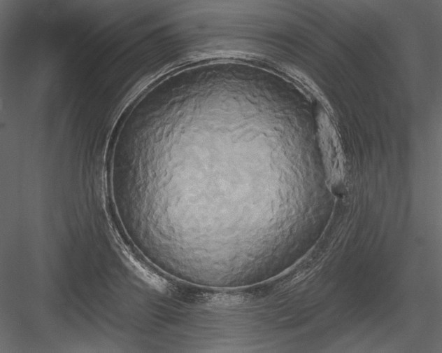 X0000084020890200702232229