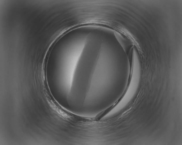 X0000084020892200702232229