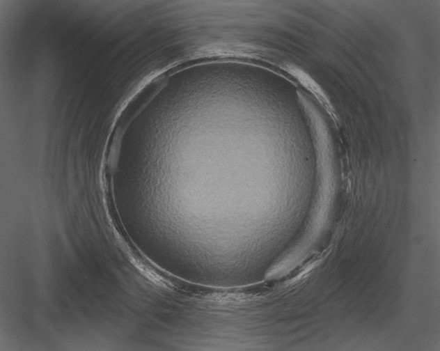X0000084020893200702232229