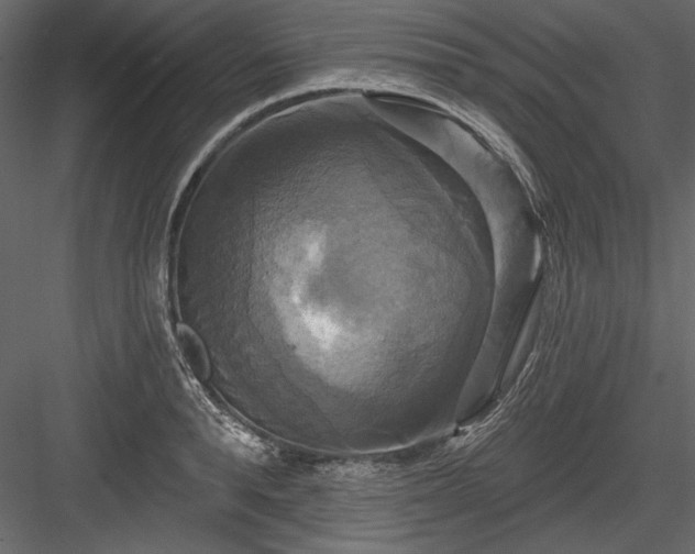 X0000084020896200702232228
