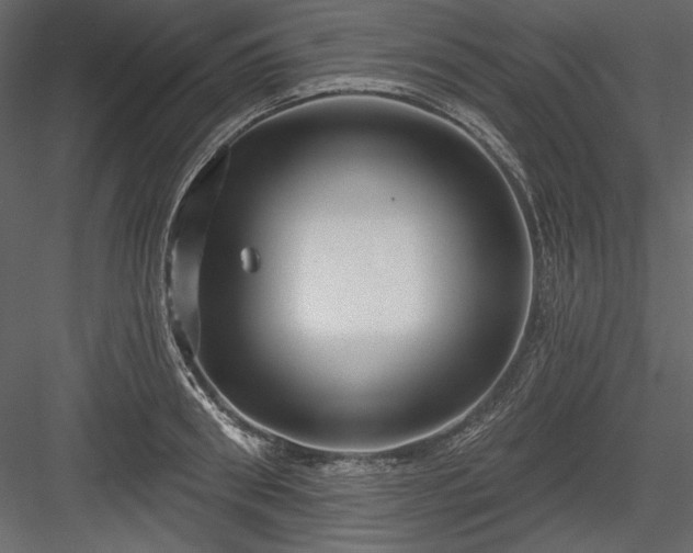 X0000084020898200702232228