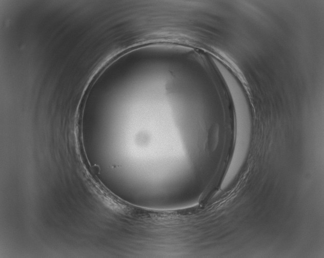 X0000084020899200702232228
