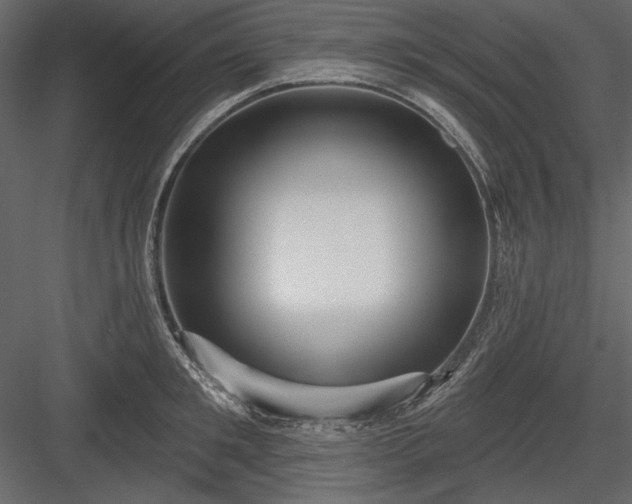 X0000084020901200702232228