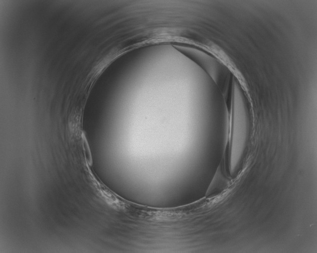X0000084020905200702232228