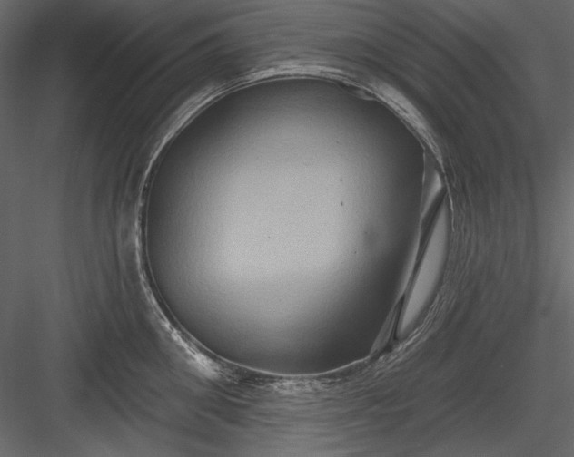 X0000084020906200702232228