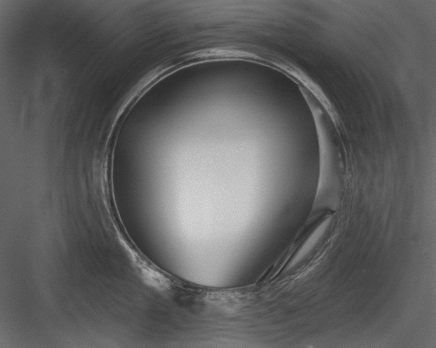 X0000084020909200702232228