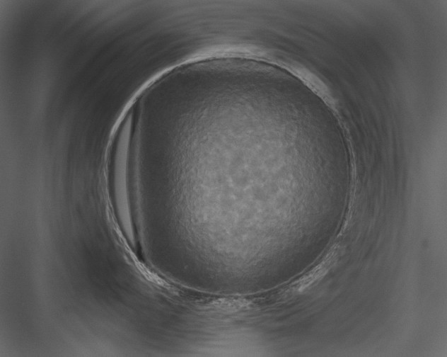 X0000084020912200702232228