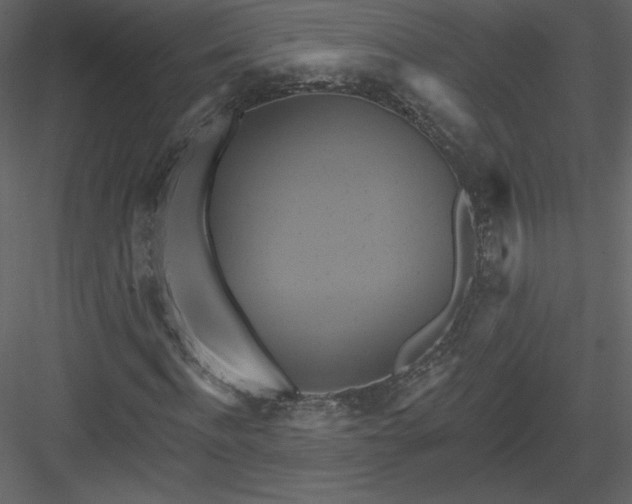 X0000084020916200702232227