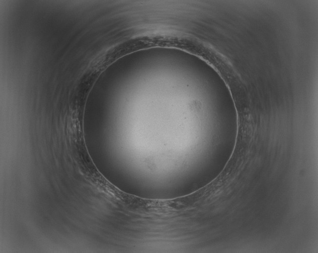 X0000084020918200702232227