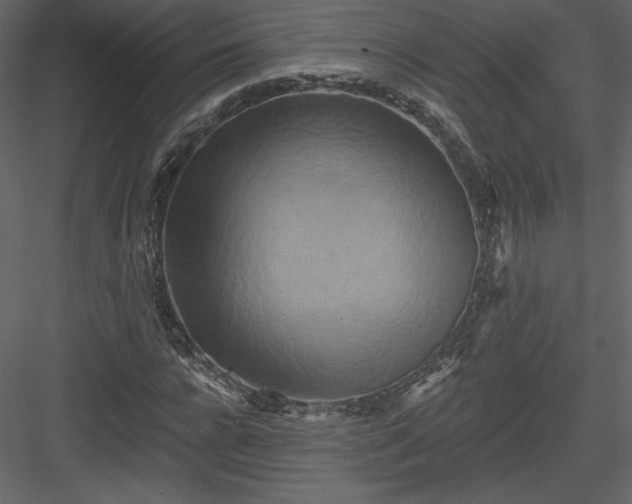 X0000084020920200702232227