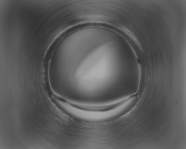 X0000084020926200702232228