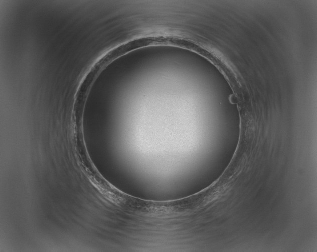 X0000084020927200702232228