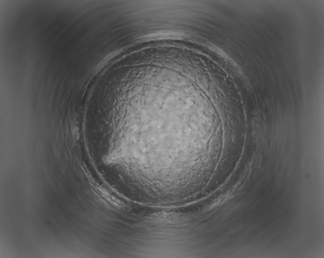 X0000084020929200702232228