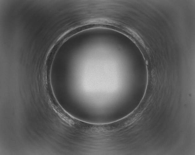 X0000084020931200702232228