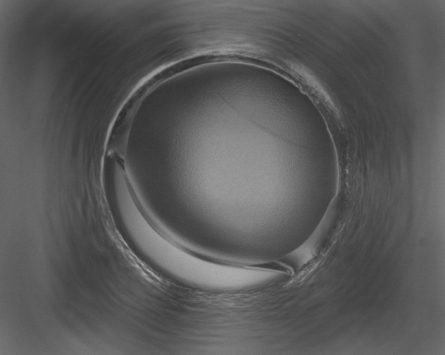 X0000084020932200702232228