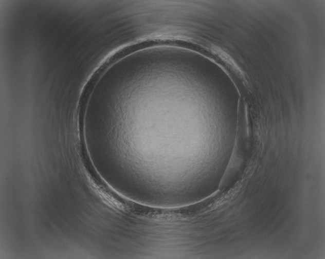 X0000084020934200702232228
