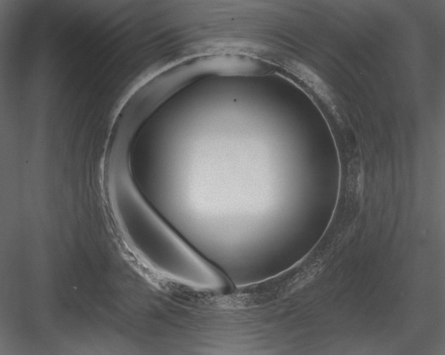 X0000084020936200702232228
