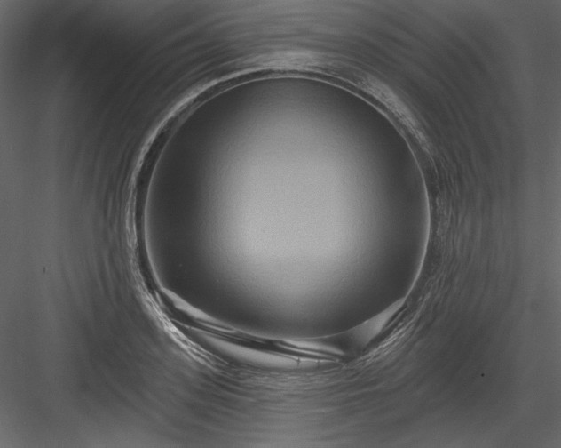 X0000084020939200702232228